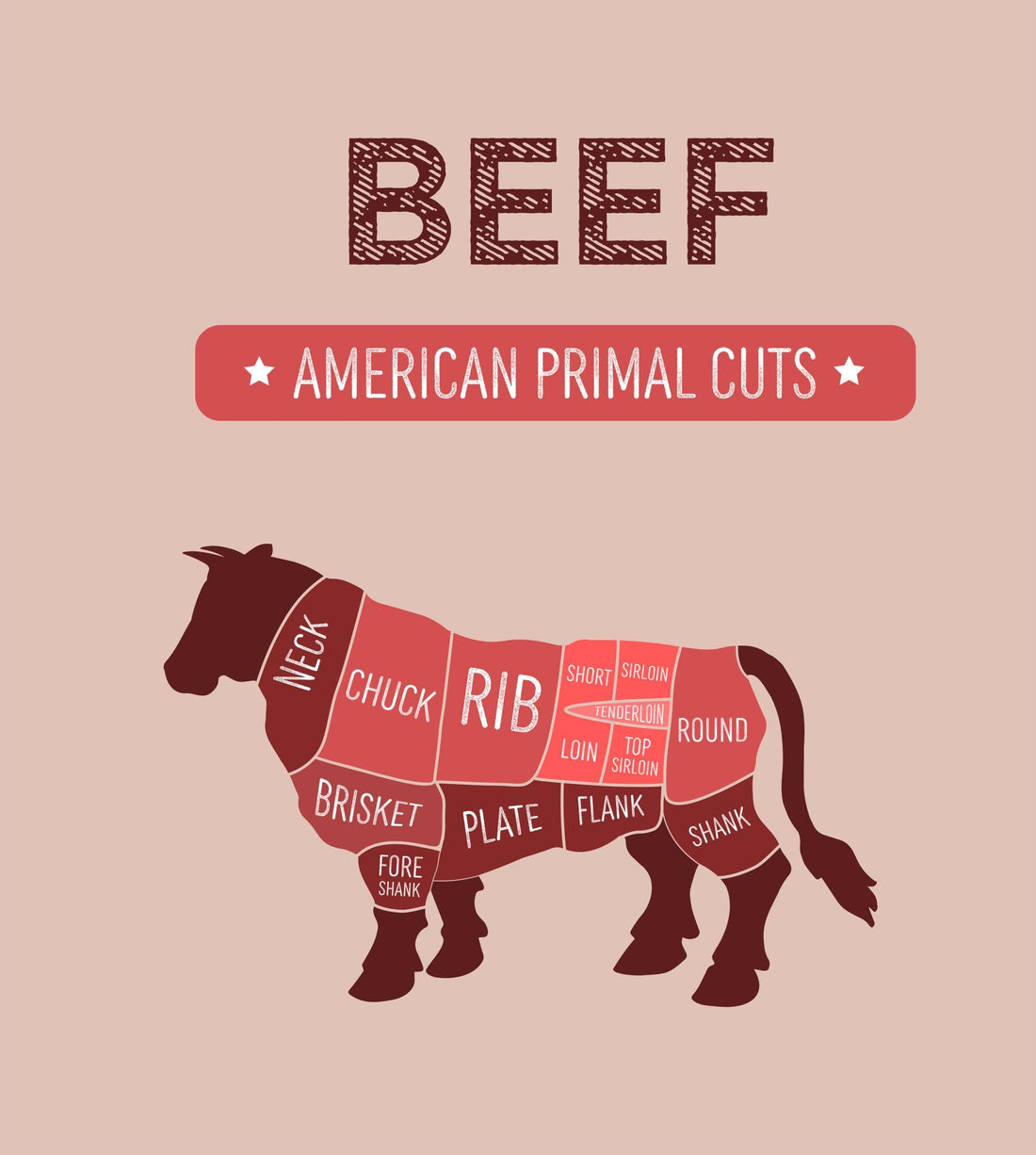 Main Cuts of Beef Explained: A Simple Guide for Tampa Shoppers